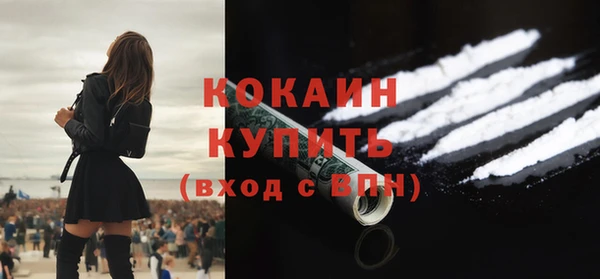 крисы Вязьма