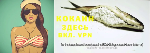 крисы Вязьма