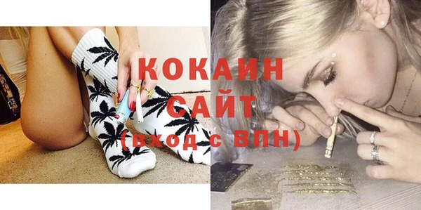 крисы Вязьма