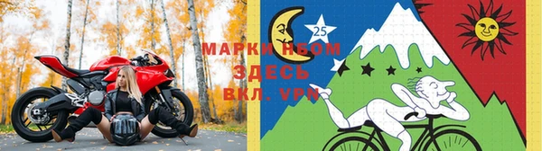 прущие грибы Вяземский