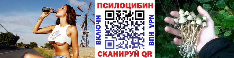blacksprut ONION  Людиново  Псилоцибиновые грибы мухоморы 